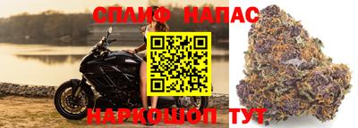 мяу мяу мука Татарск