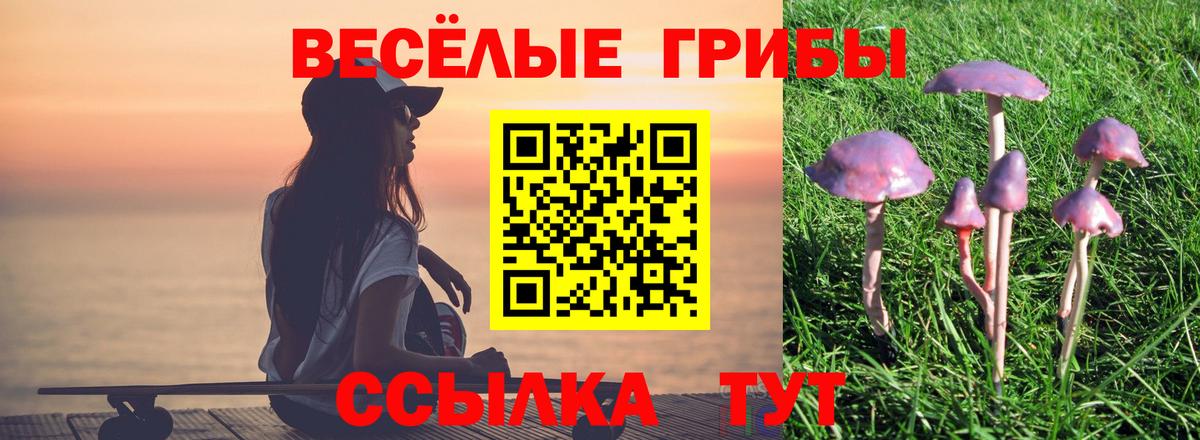 Белгород  Галлюциногенные грибы мухоморы  Вход с VPN 
