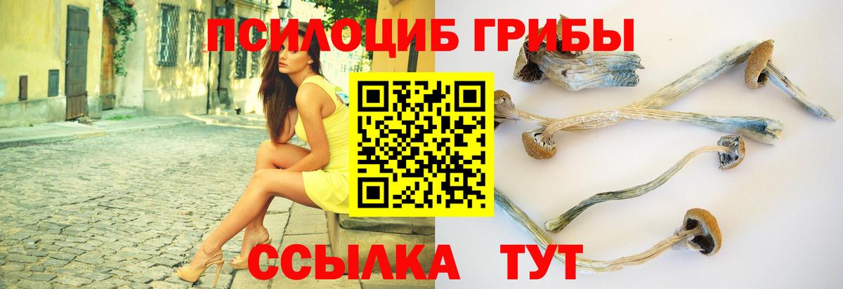 Псилоцибиновые грибы ЛСД Белгород